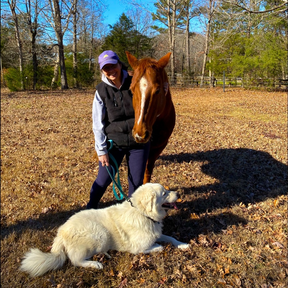 Meet your Posh Ambassador , Carolyn